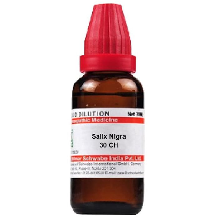 Dr. Willmar Schwabe India Salix Nigra Dilution