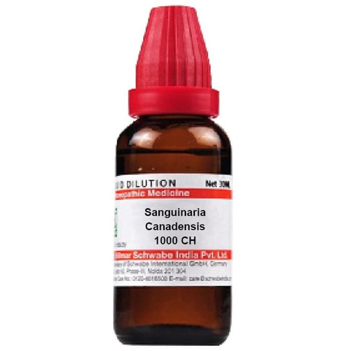 Dr. Willmar Schwabe India Sanguinaria Canadensis Dilution