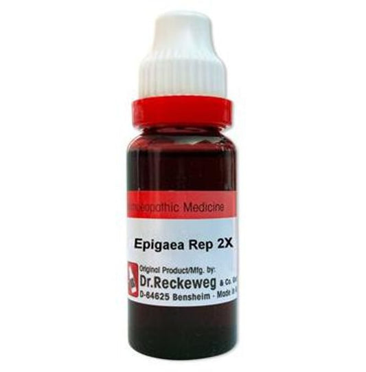 Dr. Reckeweg Epigaea Mother Tincture