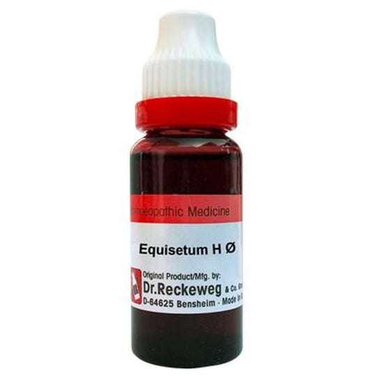 Dr. Reckeweg Equisetum H Mother Tincture