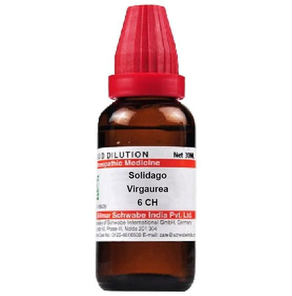 Dr. Willmar Schwabe India Solidago Virgaurea Dilution