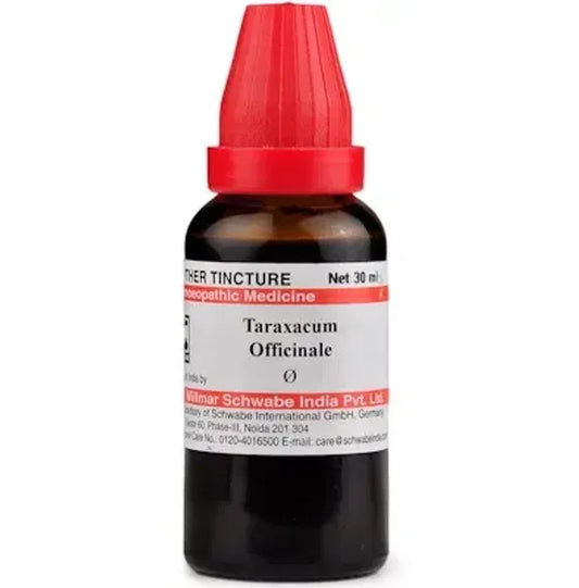 Dr. Willmar Schwabe India Taraxacum Officinale Mother Tincture