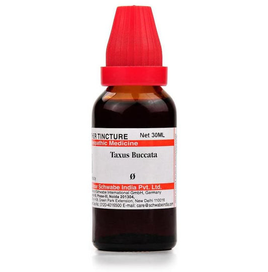 Dr. Willmar Schwabe India Taxus Buccata Mother Tincture