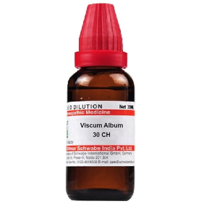 Dr. Willmar Schwabe India Viscum Album Dilution