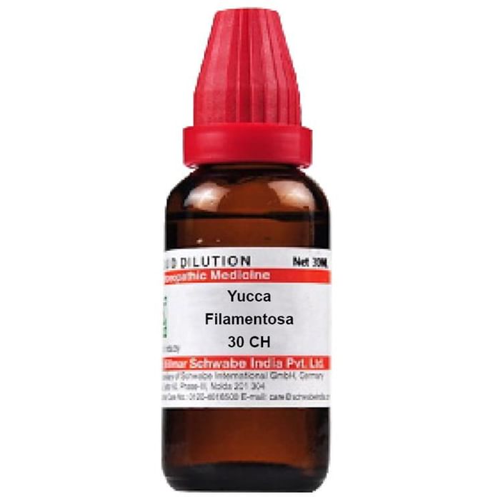 Dr. Willmar Schwabe India Yucca Filamentosa Dilution