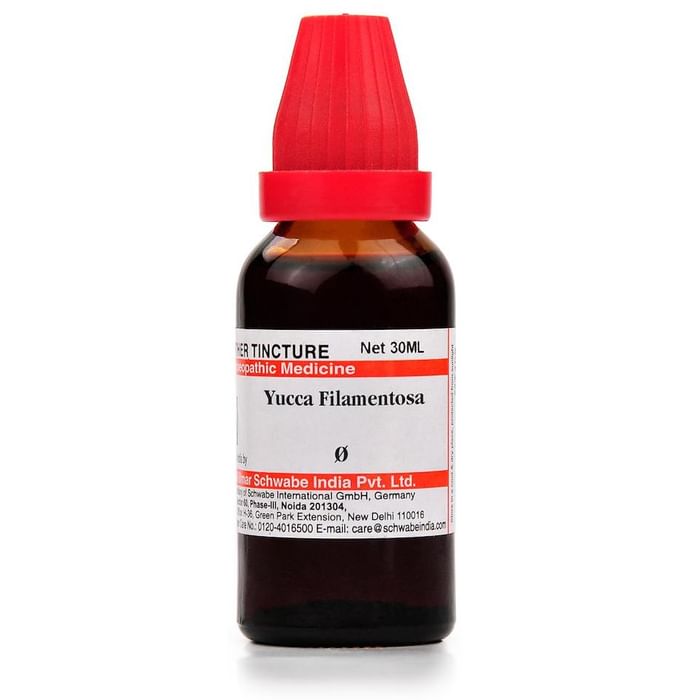 Dr. Willmar Schwabe India Yucca Filamentosa Mother Tincture