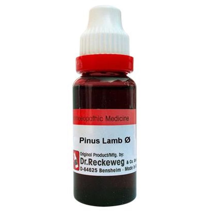 Dr. Reckeweg Pinus Lamb Mother Tincture