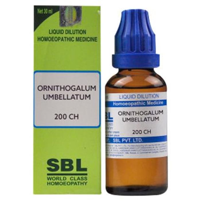 SBL Ornithogalum Umbellatum Dilution