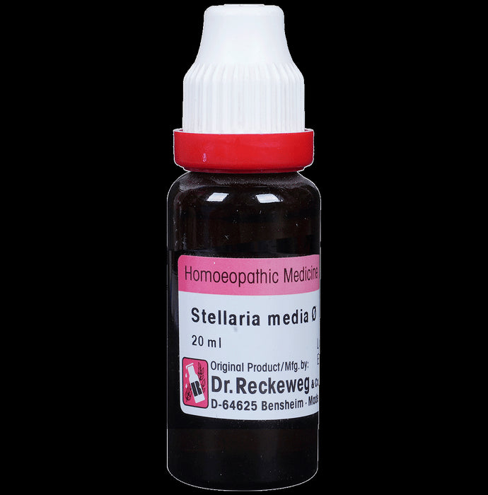 Dr. Reckeweg Stellaria Media Mother Tincture