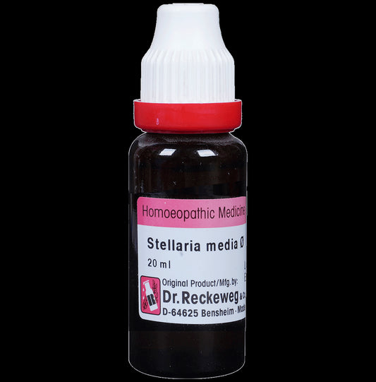 Dr. Reckeweg Stellaria Media Mother Tincture