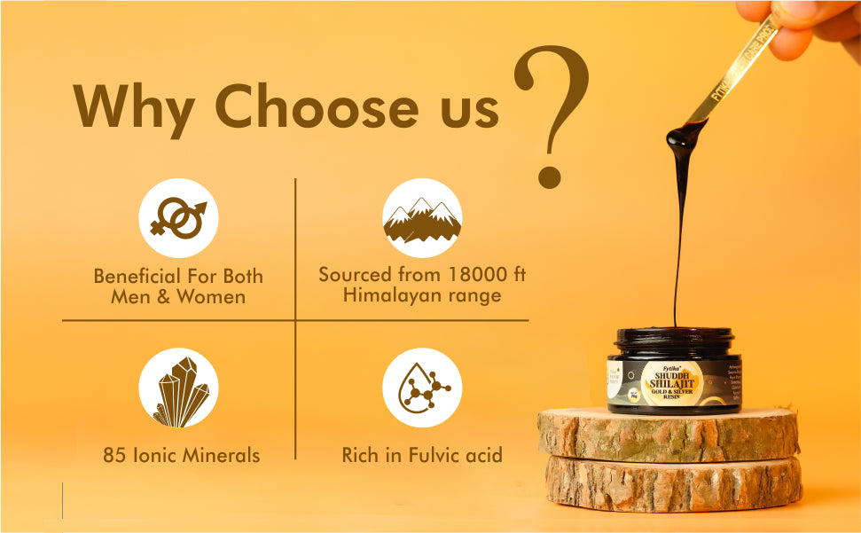 Fytika Shuddh Shilajit Gold & Silver Resin