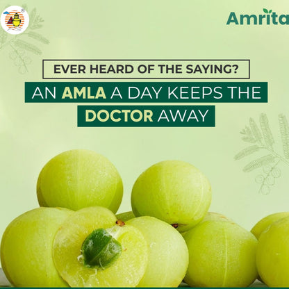 Amrita Nisa Amalaki