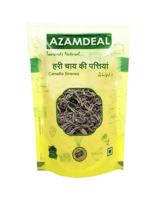 Azamdeal Green Tea Leaves / Camellia sinensis