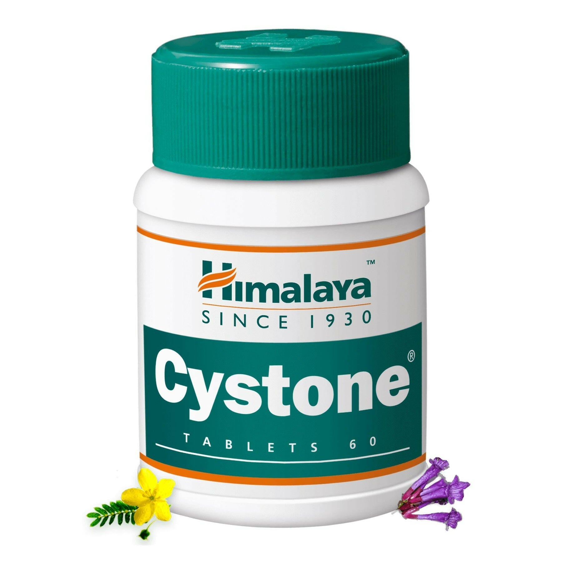 Cypton Tablet Himalaya Cystone Tablets – AYUSH Upchar