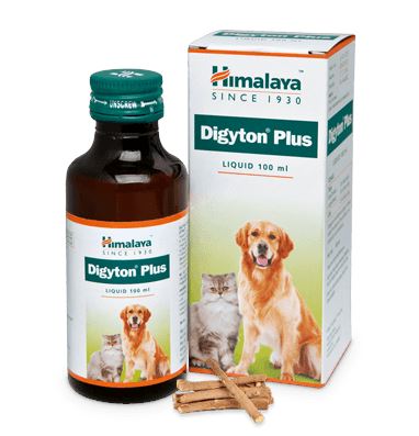 Himalaya Digyton Plus