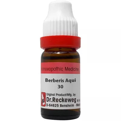 Dr. Reckeweg Berberis Aquifolium 11 ML