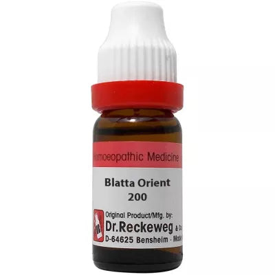 Dr. Reckeweg Blatta Orientalis 11 ML