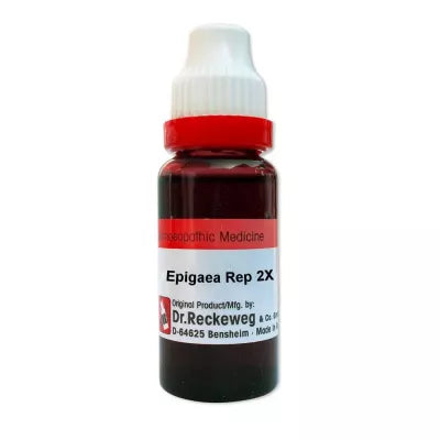 Dr. Reckeweg Epigaea Repens 20 ML