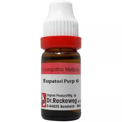 Dr. Reckeweg Eupatorium Purpureum 11 ML