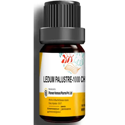Pioneer Ledum Palustre (Multidose) 1M