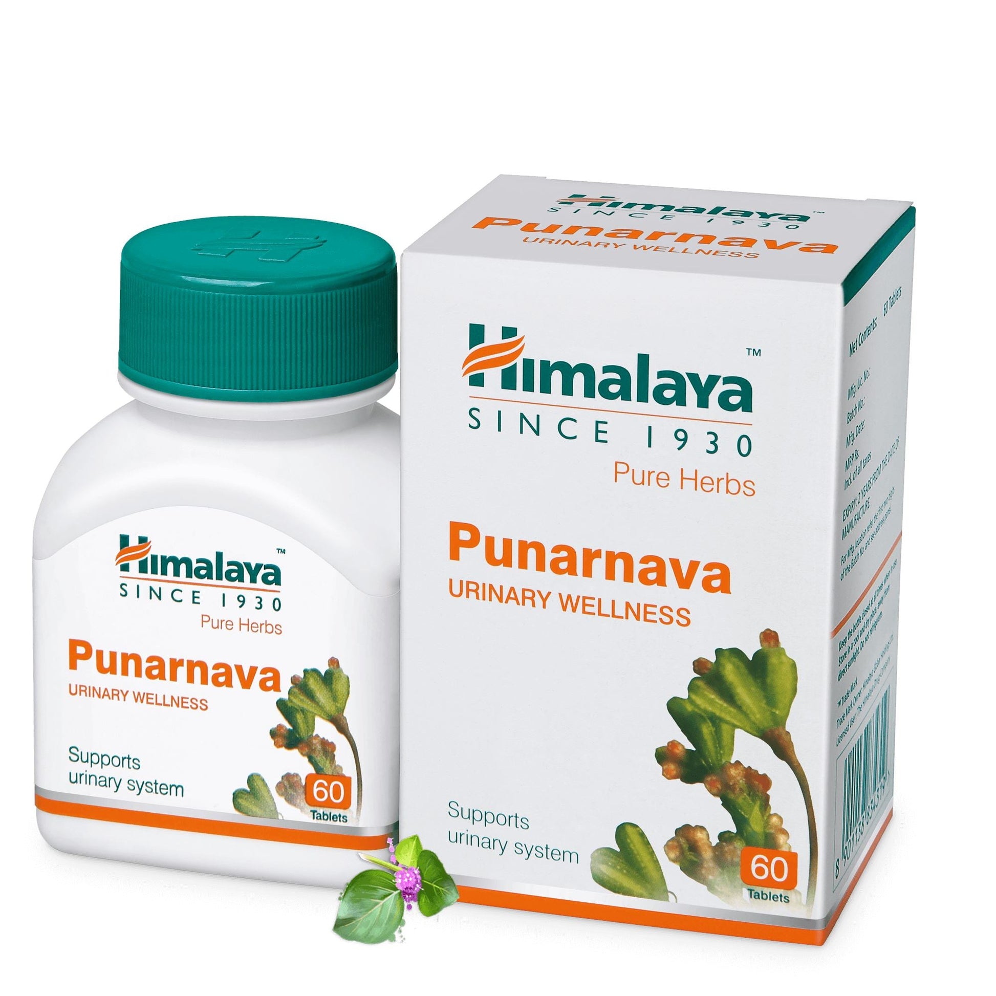 Himalaya Punarnava