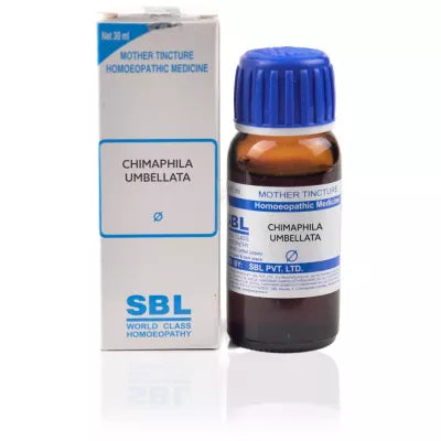 SBL Chimaphila Umbellata 1X (Q)