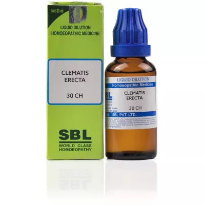SBL Clematis Erecta