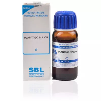SBL Plantago Major 1X (Q)