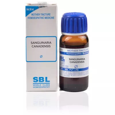 SBL Sanguinaria Canadensis 1X (Q)