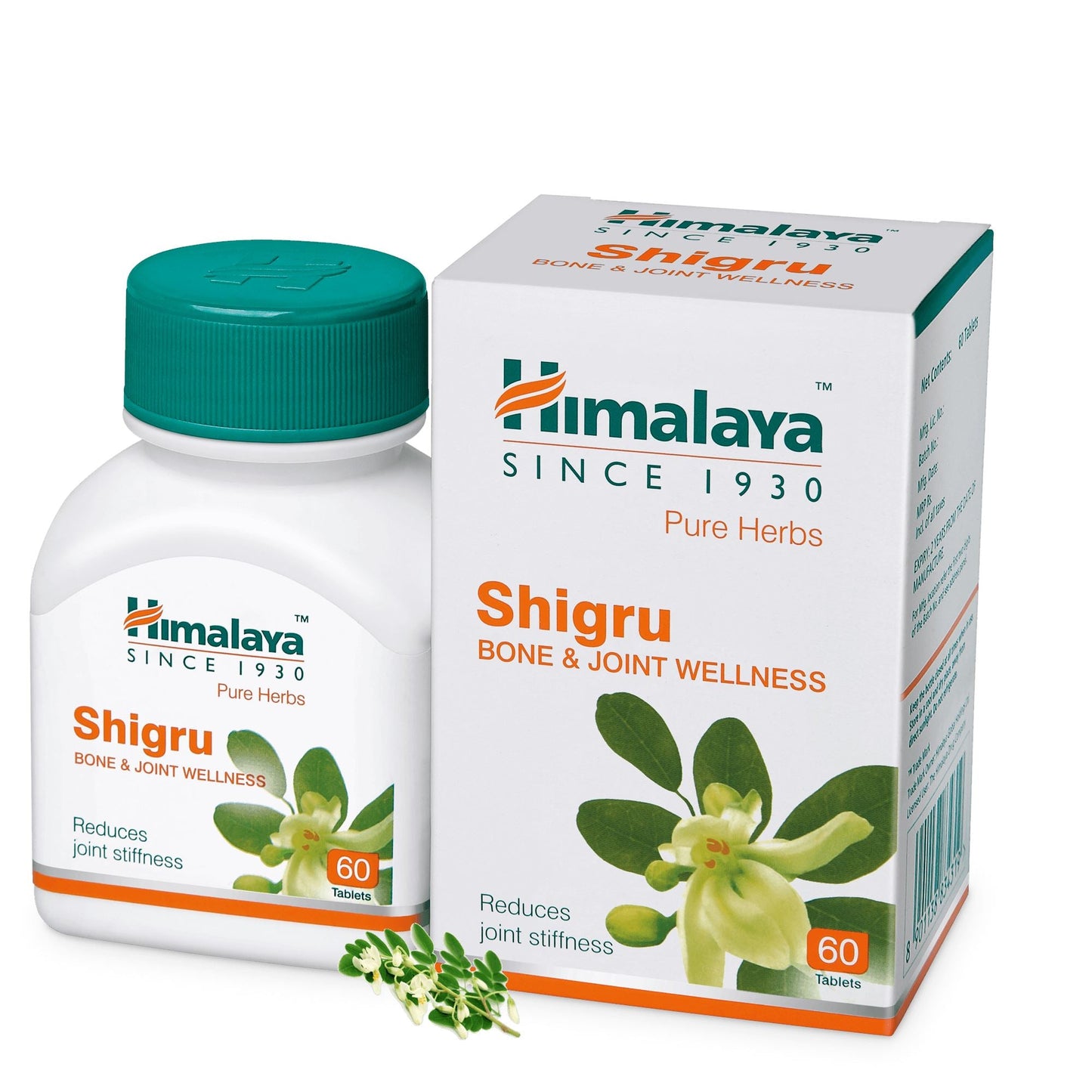 Himalaya Shigru