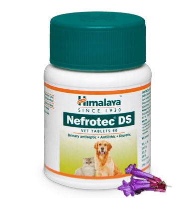 Himalaya Nefrotec Ds Vet Tablets